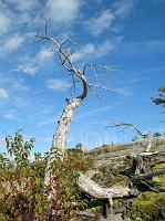 IMG 2255