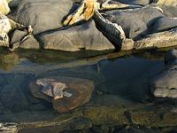 IMG 5832