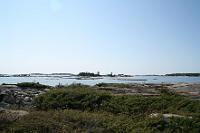 IMG 0032