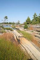 IMG 0053