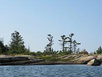 IMG 0243
