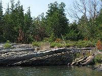 IMG 0251