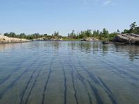 IMG 0258b