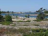 IMG 0275