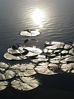 IMG 0298