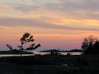 IMG 0319