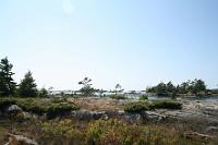 IMG 9988