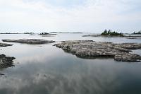 IMG 0104
