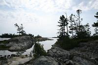 IMG 0121