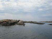 IMG 0332