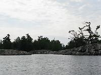 IMG 0389