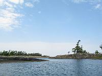 IMG 0394
