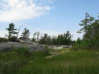 IMG 0421