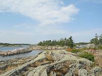 IMG 0429