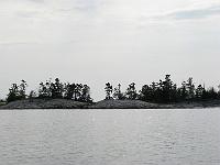 IMG 0481