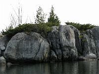 IMG 0500