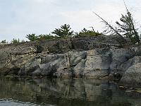 IMG 0504