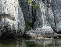 IMG 0508