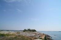 IMG 0358