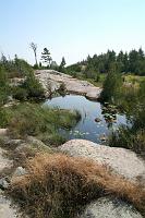 IMG 0368
