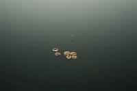 IMG 0440