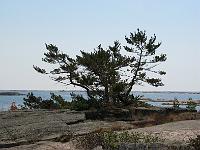 IMG 0558