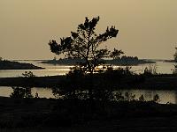 IMG 0581